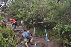 Gunung Gede Pangrango Segera Dibuka, Ini Syarat Baru untuk Pendaki