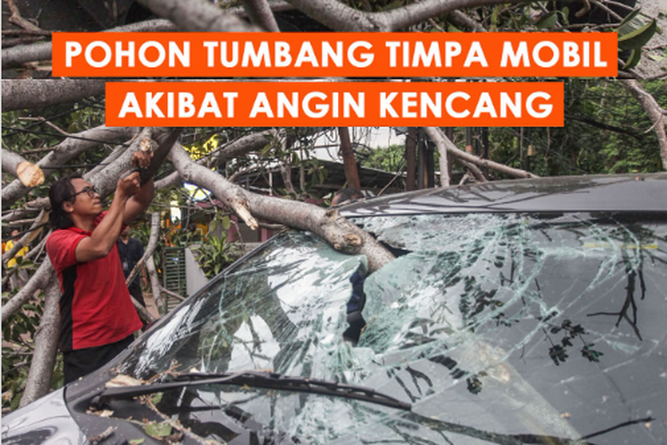 Pohon tumbang timpa satu unit mobil di Jalan Lebak Bulus I, Jakarta