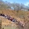 Video di Perbatasan Meksiko Ungkap Cara Pencari Suaka Masuk ke AS