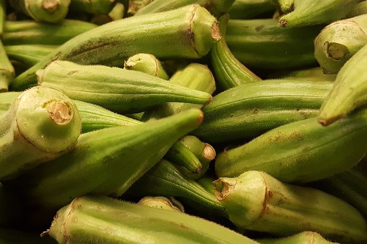 Ilustrasi sayur okra segar. 