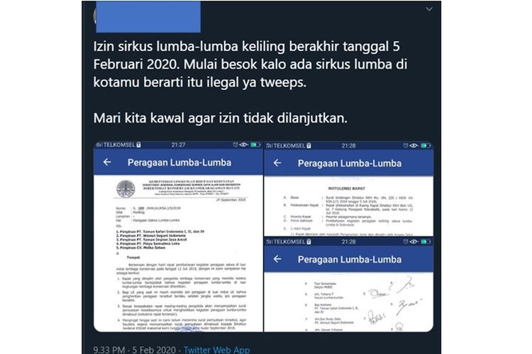 Viral unggahan Twitter Surat Kementerian LHK yang berisi penghentian izin peragaan lumba-lumba di luar lembaga konservasi