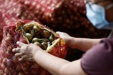 Harga Bawang di Filipina Jadi Jauh Lebih Mahal dari Daging, Ini Penyebabnya