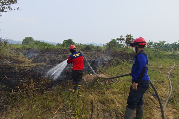 Karhutla 4 Hektare di Samarinda, Bara Gambut Sulit Padam