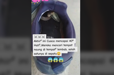 Viral, Video Ular Sembunyi di Sepatu Saat Cuaca Panas, Bagaimana Cara Mencegahnya?