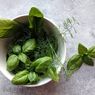 5 Tipe Daun Basil untuk Makanan atau Minuman Hangat