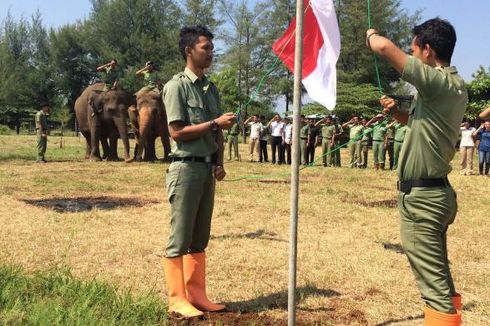 Satwa BDC Taman Safari Dilibatkan dalam Upacara Bendera 