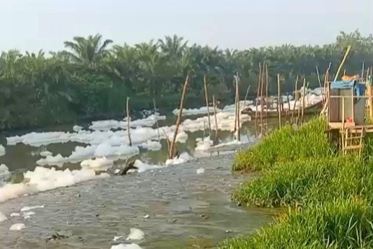 Viral Sungai Percut Deli Serdang Dipenuhi Buih Mirip Salju, Warga Heboh Lihat Ikan Mabuk