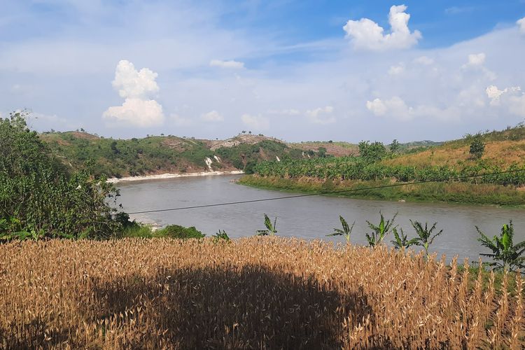 Kondisi wilayah sekitar sungai Bengawan Solo di Desa Ngrawoh, Kecamatan Kradenan, Kabupaten Blora, Jawa Tengah, pada 15 September 2021