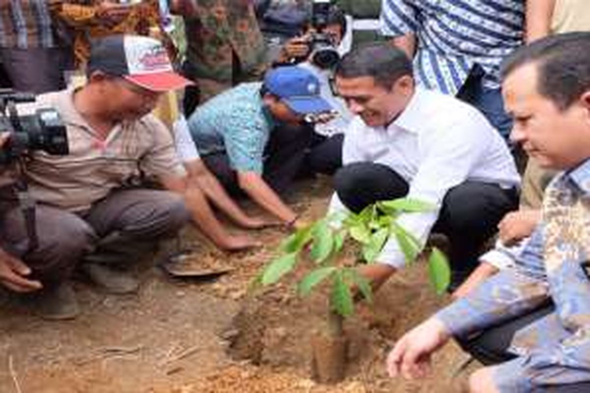 Menteri Pertanian Indonesia Andi Amran Sulaiman dalam program Intercropping Jagung pada Lahan Karet dan Sawit, pada Kamis (9/6/2016), di Banyuasin, Sumatra Selatan