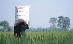 Stok Pupuk Bersubsidi Melimpah, Petani Diminta Segera Tebus Kuota yang Dimiliki