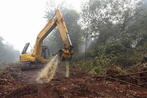 Asosiasi Pengusaha Hutan Mengaku Kesulitan Bantu Padamkan Kebakaran Lahan