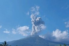 Gunung Lewotobi Laki-laki Meletus Tiap Hari, Pemda Belum Rencanakan Evakuasi