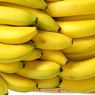 Buah Pisang Bisa Jadi Sumber Asupan Serat 