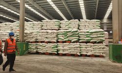 Sambut Musim Tanam, Stok Pupuk Bersubsidi Dijamin Aman Selama 6 Minggu ke Depan