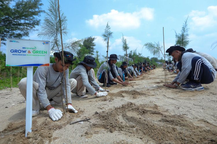 Penanaman cemara laut di pesisir pantai Tuban oleh siswa/i SMKN 1 Tuban dalam rangka memperingati Hari Lingkungan Hidup Sedunia 2025. 