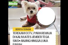 Remaja Siksa Anjing hingga Mati di Jember, Polisi: Masih dalam Proses Penyelidikan