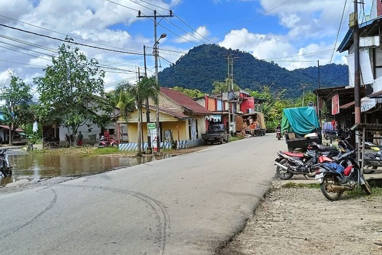 Banjir yang merendam sejumlah kecamatan di Kabupaten Landak, Kalimantan Barat (Kalbar) dalam beberapa hari terakhir dilaporkan surut, Kamis (18/4/2024). Namun puluhan hektare padi yang baru ditanam hanyut dibawa arus. 