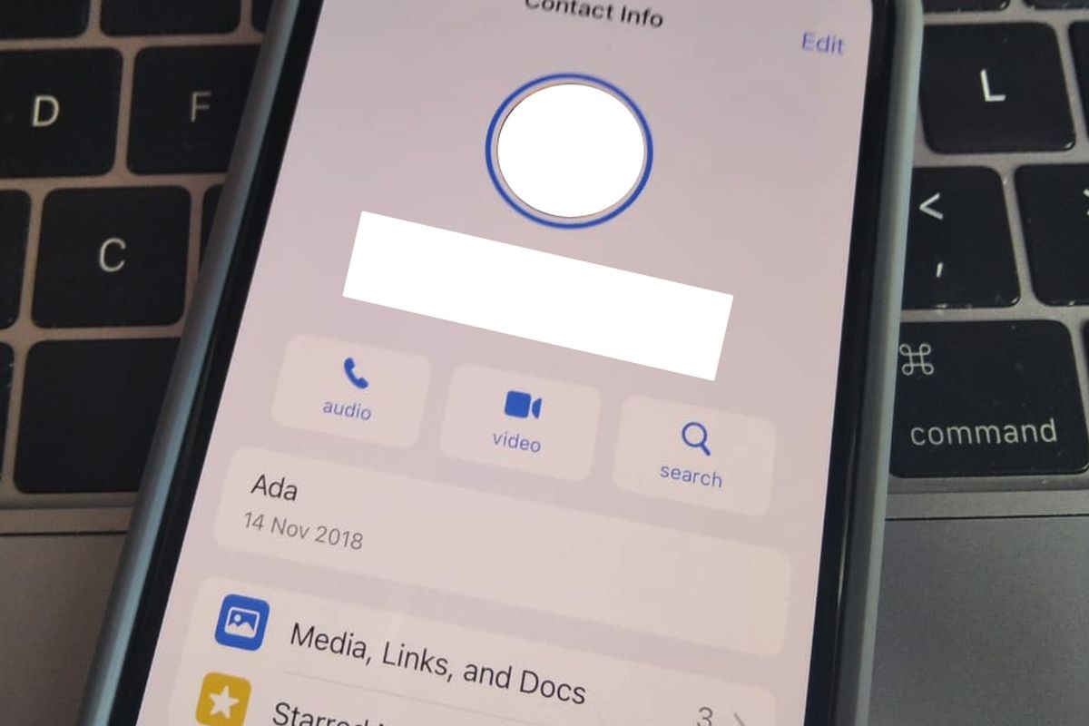 Tanda lingkaran biru di foto profil WA. 