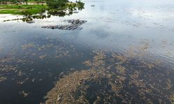 Iklim Bukan Satu-satunya Penyebab Bencana Hidrometeorologi di Sumatera Barat, Ini Kata Pakar