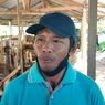 PMK Merebak, Harga Sapi di Buleleng Naik hingga Rp 2 Juta Per Ekor