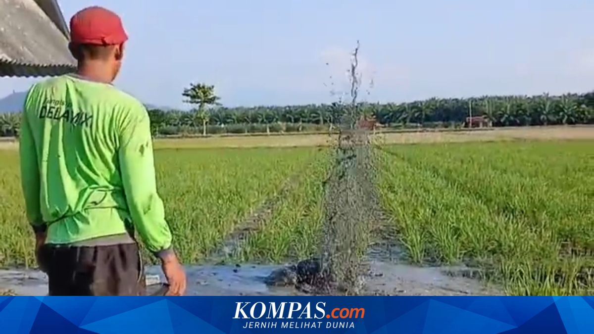 Semburan Air Campur Lumpur Muncul Saat Warga Gali Sumur di Mamuju Tengah