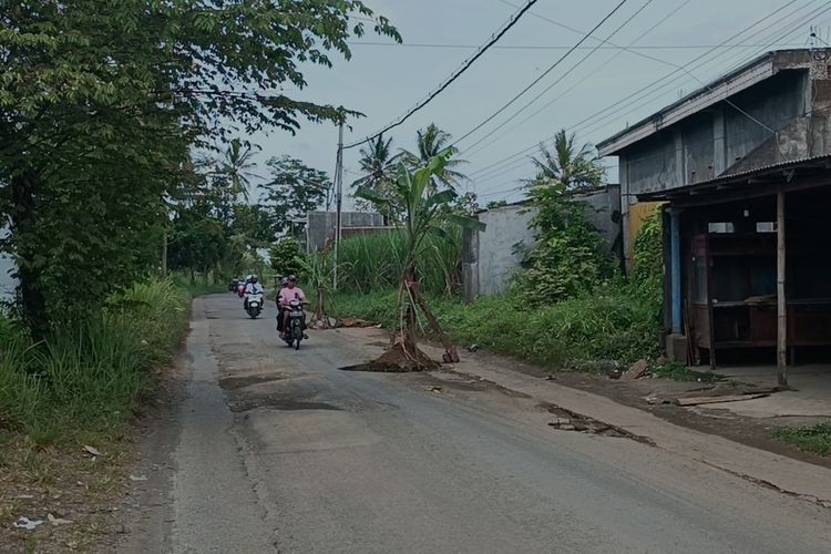 Jalan berlubang di kawasan Dusun Ganden, Desa Sukonolo, Kecamatan Bululawang, Kabupaten Malang ditanami pohon pisang oleh warga setempat,