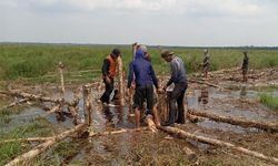BRGM Fokus Lakukan Restorasi Gambut agar Masyarakat Sumsel Sejahtera