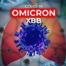 Epidemiolog: Subvarian Omicron XBB Mampu Terobos Antibodi Kombinasi dari Infeksi dan Vaksinasi