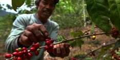 BUMDes Dongkrak Produk Unggulan Desa Terpencil