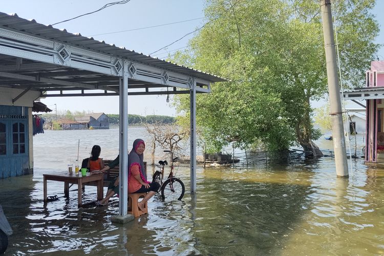 Dua Tahun Dihantui Banjir Rob, 36 Rumah di Pati Terendam Air Laut Setiap Hari