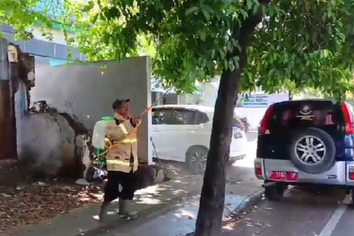 Petugas sedang melakukan penyemprotan ulat bulu di wilayah Banyuwangi karena saat ini daerah tersebut diserang ulat bulu.