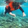 Bangsring Underwater Banyuwangi:Harga Tiket dan Jam Buka 2024
