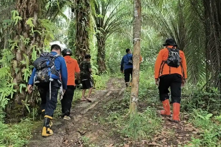 Kronologi Warga Ketapang Hilang usai Hadiri Pertunangan Anak, Tim SAR Sisir Hutan dan Kebun Sawit