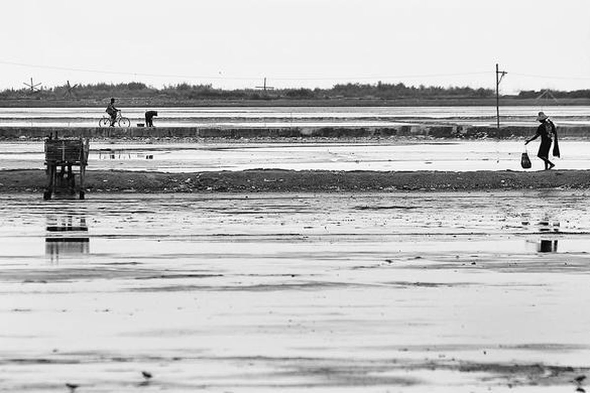 Ilustrasi petani garam 