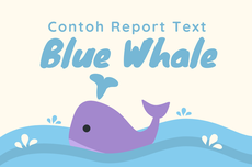 Report Text tentang Blue Whale dan Terjemahannya