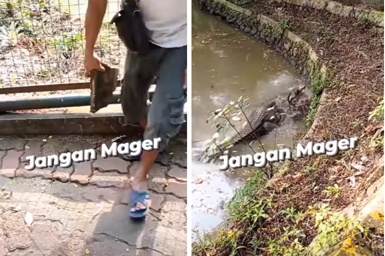 Tangkapan layar video yang memperlihatkan pengunjung di Kebun Binatang Ragunan melemparkan batu ke kolam buaya.