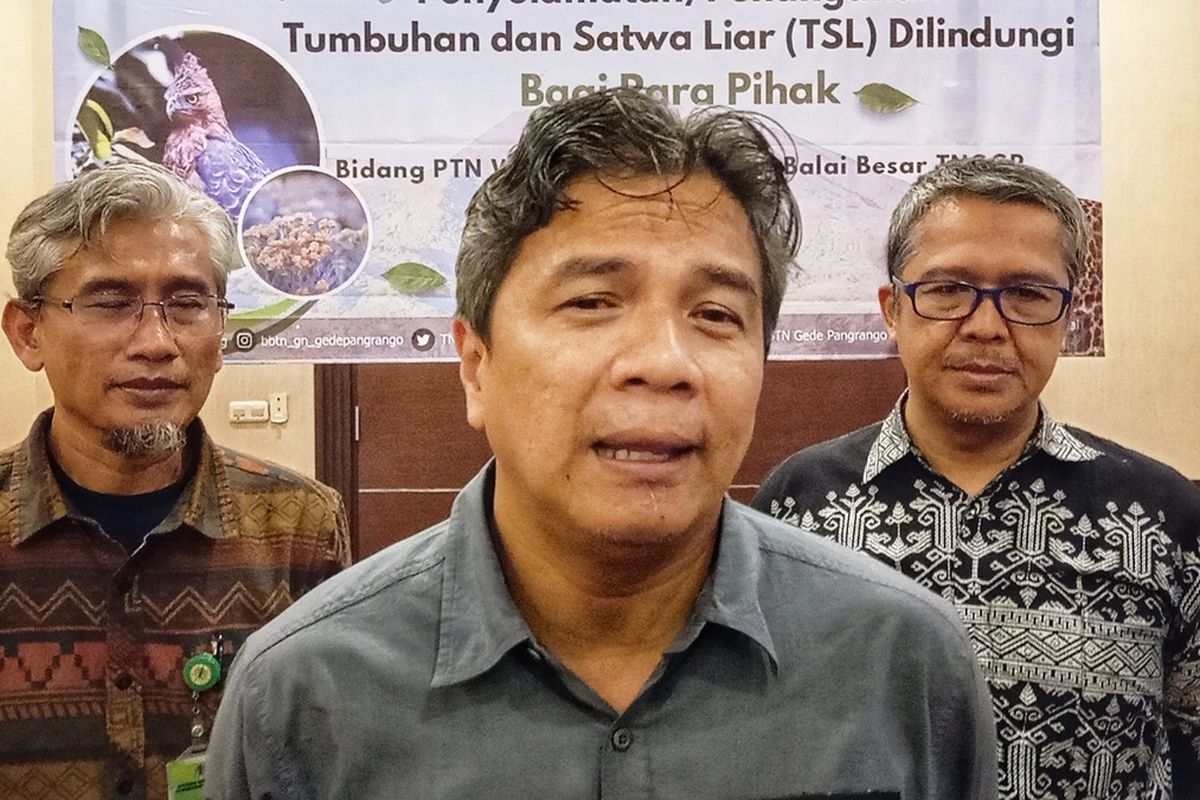 Kepala Balai Besar TNGGP, Adhi Nurul Hadi (tengah) saat dikonfirmasi awak media pada sosialisasi penyelamatan tumbuhan dan satwa liar di Sukabumi, Jawa Barat, Kamis (31/10/2024).