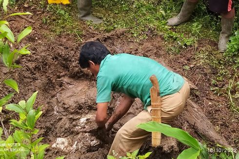 Dibunuh Setelah Berkelahi Saat Cari Durian, Pria di Jambi Dikubur Dalam Rawa