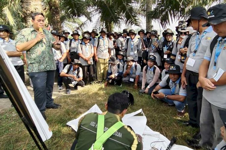 Sebanyak 75 pekebun sawit dari Kabupaten Asahan mengikuti Pelatihan Teknis Budi Daya Kelapa Sawit pada 30 April-4 Mei 2024 di Medan, Sumatera Utara.