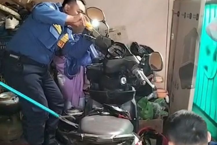 Ular Masuk Rumah? Damkar Semarang Minta Warga Jangan Nekat Pegang dan Lakukan Siasat Ini