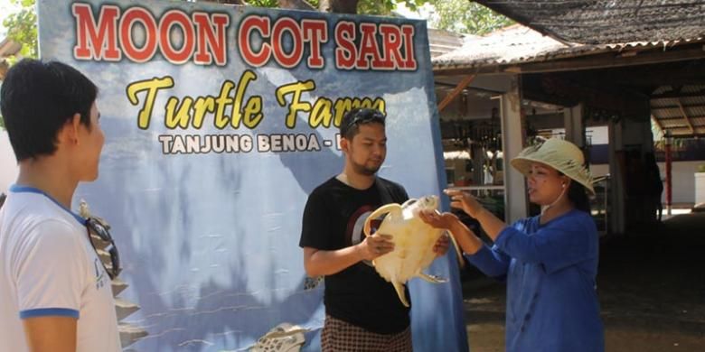 Wisatawan berfoto dengan penyu di Pulau Penyu, Tanjung Benoa, Bali.