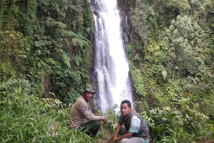 Air Terjun Cunca Rede,Desa Sano Lokom, Kecamatan Ranamese, Kabupaten Manggarai Timur, Flores, NTT. Air terjun masuk dalam kawasan Taman Wisata Alam Ruteng yang dikelola BKSDA NTT, Senin, (19/9/2022). (KOMPAS.com/DOK-KEPALA.RESORT RANAMESE-PAULUS PAMBUT)