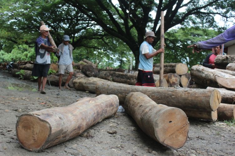 Pekerja membongkar kayu hasil curian yang digagalkan oleh KPH Gundih, Grobogan, Jateng, Jumat (26/1/2018).