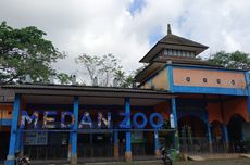 Medan Zoo Gaungkan Program Orangtua Asuh untuk Atasi Krisis Keuangan 