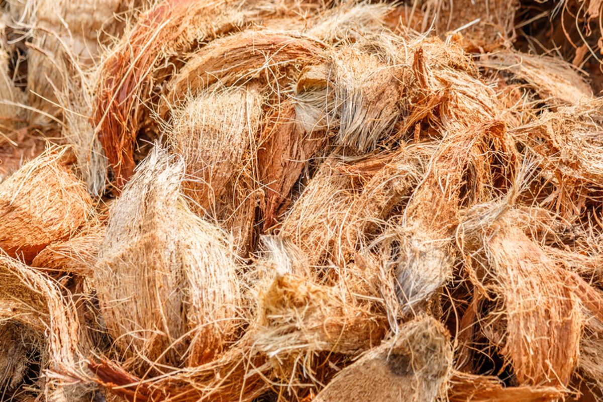 Ilustrasi sabut kelapa. Sabut kelapa dapat dimanfaatkan untuk membuat pupuk organik. 