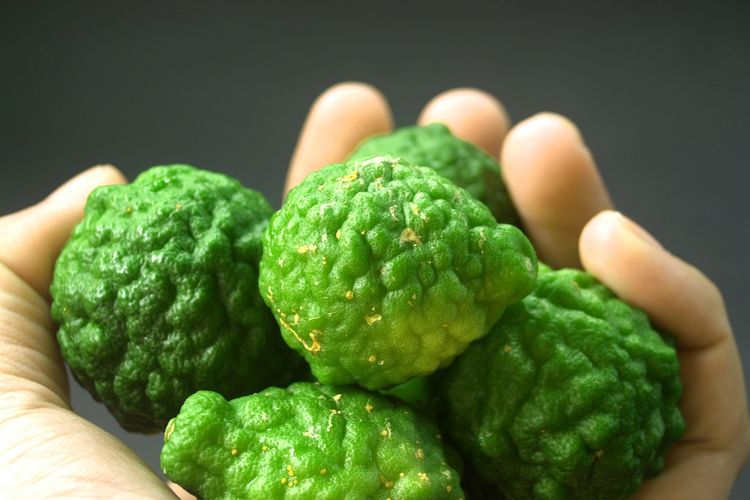 Ilustrasi jeruk purut.