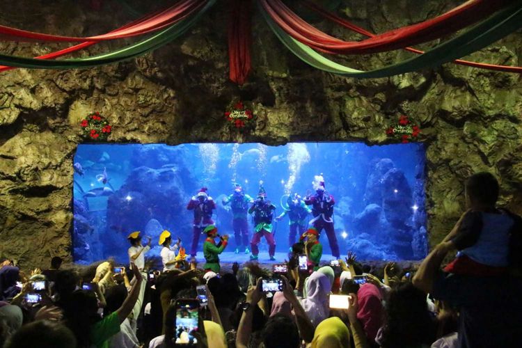 Pengunjung saat menyaksikan pertunjukan underwater feedingshow di akuarium utama Sea World, kawasan wisata Taman Impian Jaya Ancol, Jakarta, Sabtu (23/12/2017). Acara tersebut diselenggarakan pada 23-27 Desember 2017 untuk menyambut musim libur natal dan perayaan pergantian tahun.