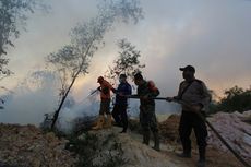 Walhi Dorong Pemerintah Padamkan Kebakaran Hutan di Riau