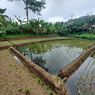 Pencemaran Limbah di Situ Ciburuy Meluas, 5.000 Meter Sawah Terendam Air Hitam Pekat 