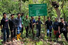 Rehabilitasi DAS Area Tambang: Tambah Luasan Hijau dan Ekonomi Sirkular Bernilai Miliaran